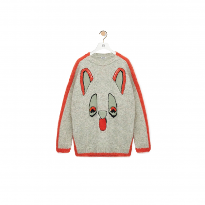 LOEWE X LOUIS WAIN SWEATER IN WOOL H526Y14KNP
